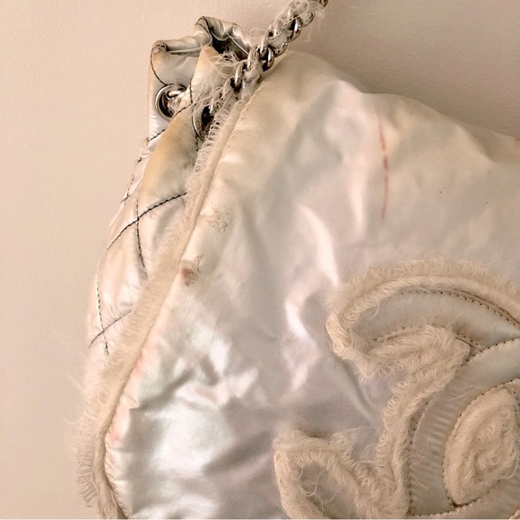 Chanel 2010 Collection Arctic Polar Ice Accordion Flap Bag - Picture 3 of 16